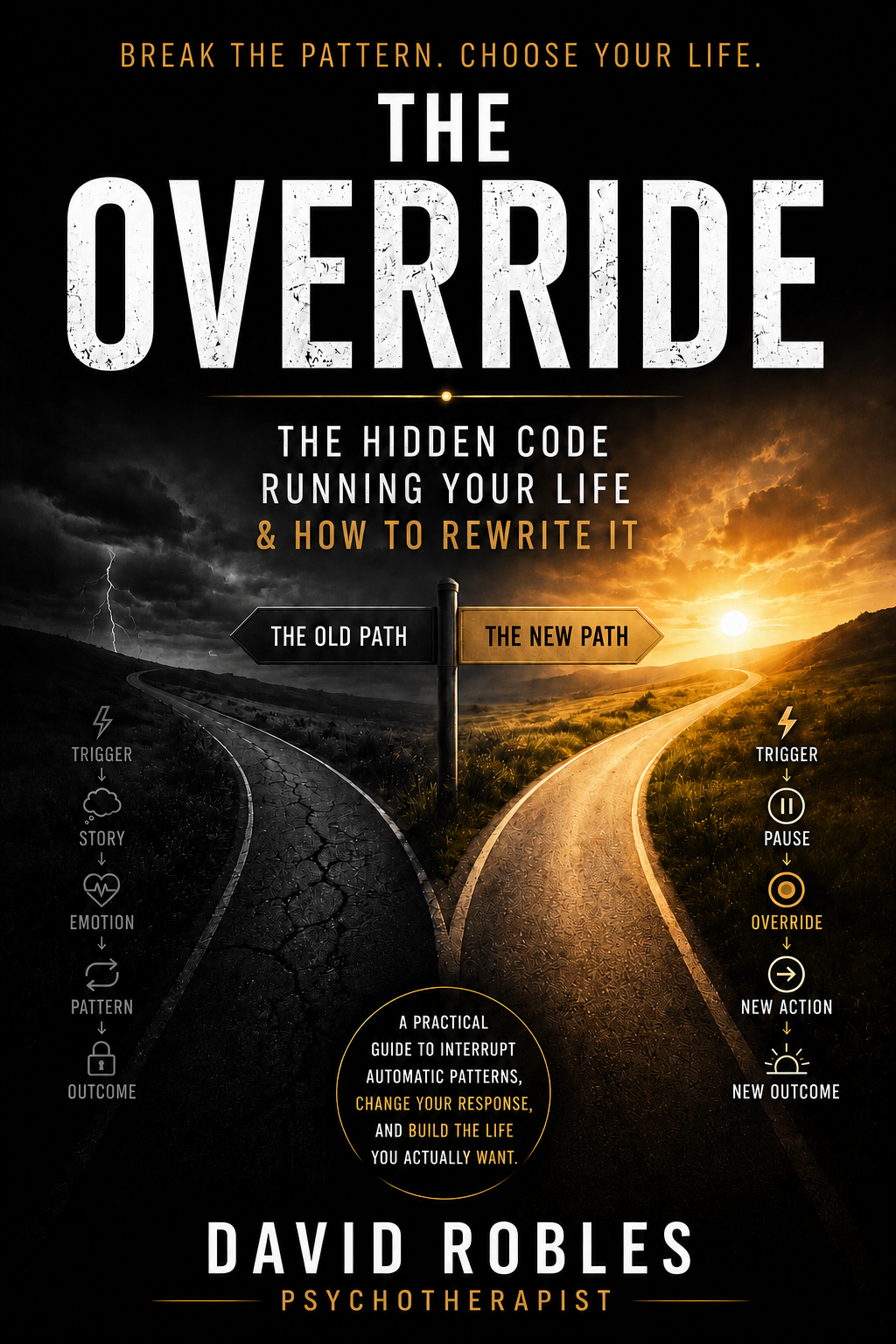 The Override by David Robles
